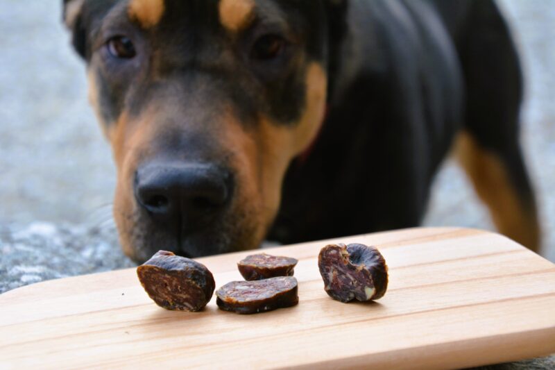 Kaminwurzen salsicce snack per cani. hunde snack suedtirol altro adige
