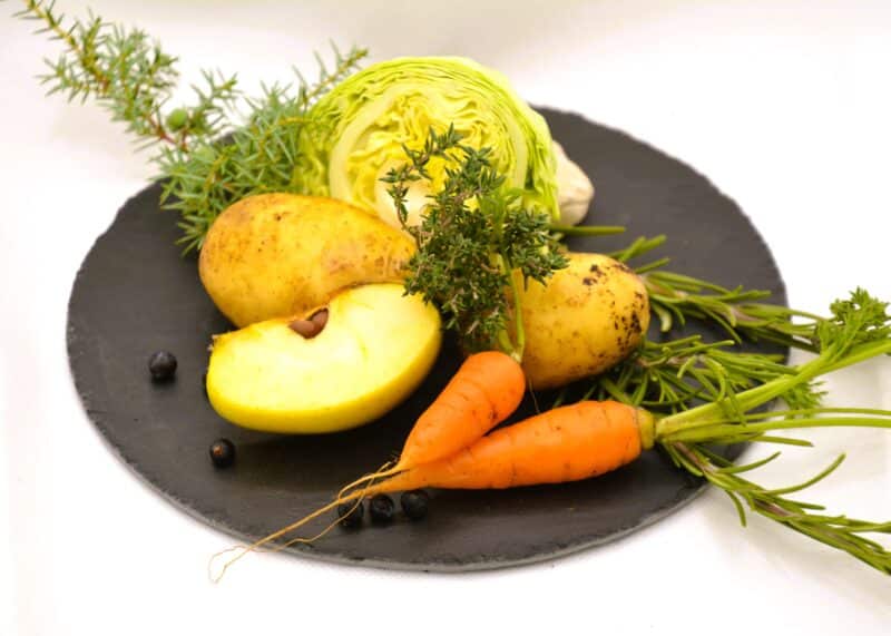 PetAlpin Südtirol Nassfutter