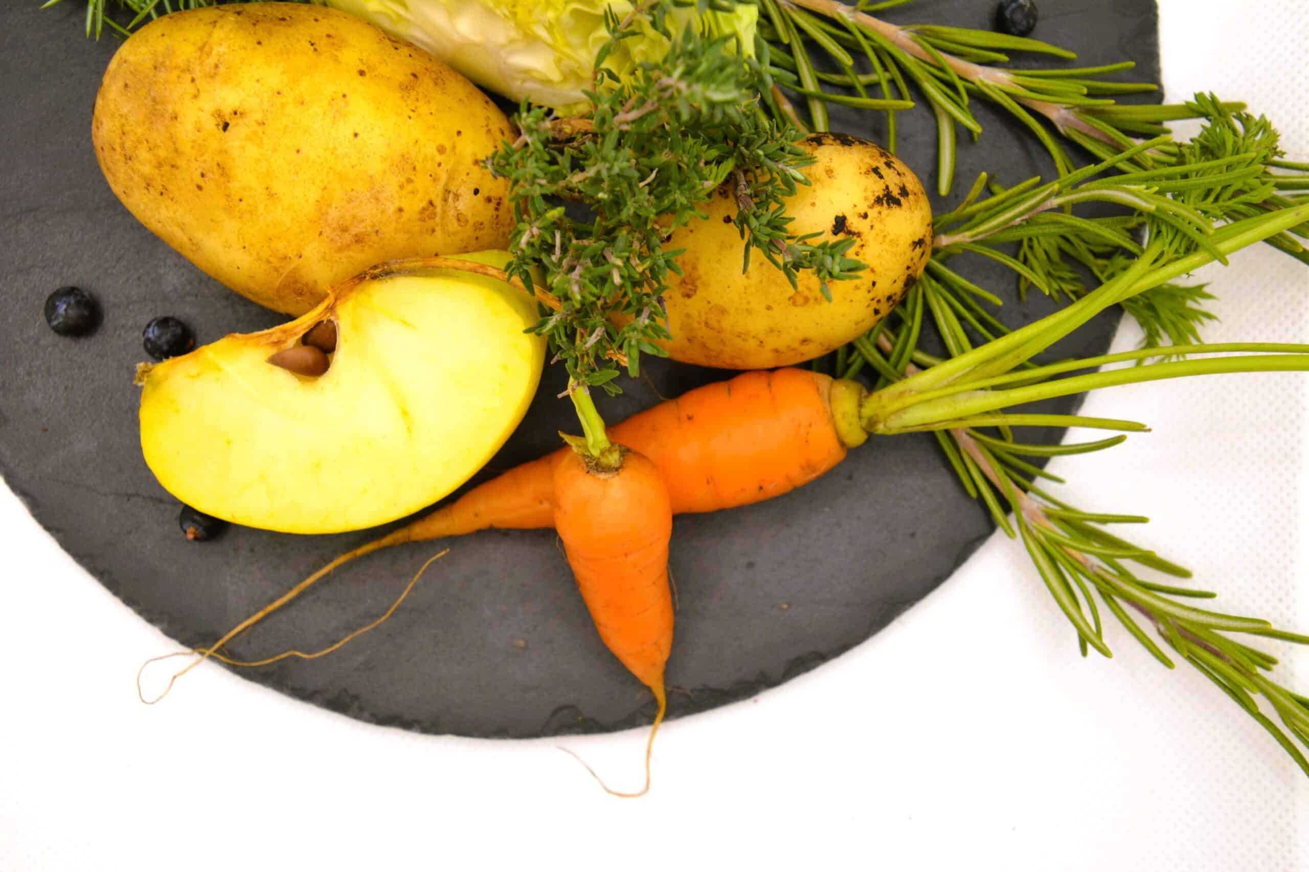 gemüse ausschnitt Hundefutter Qualität PetAlpin Südtirol Nassfutter